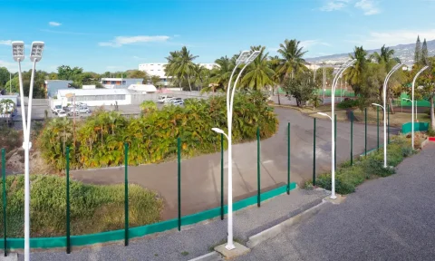 light pole project